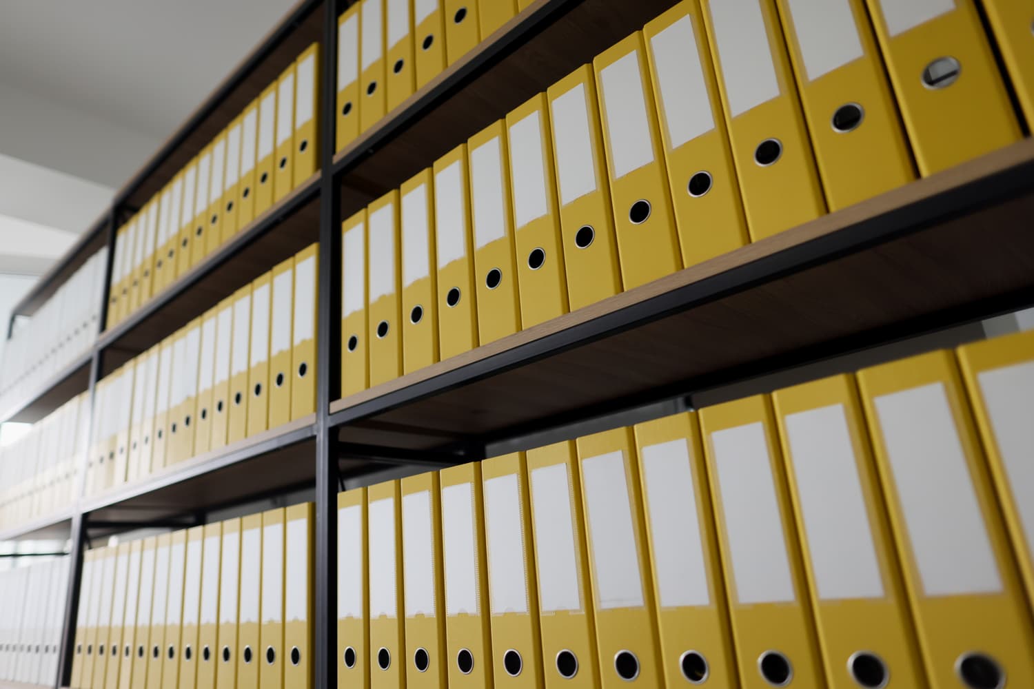 Long rows of yellow ring binders on office shelves