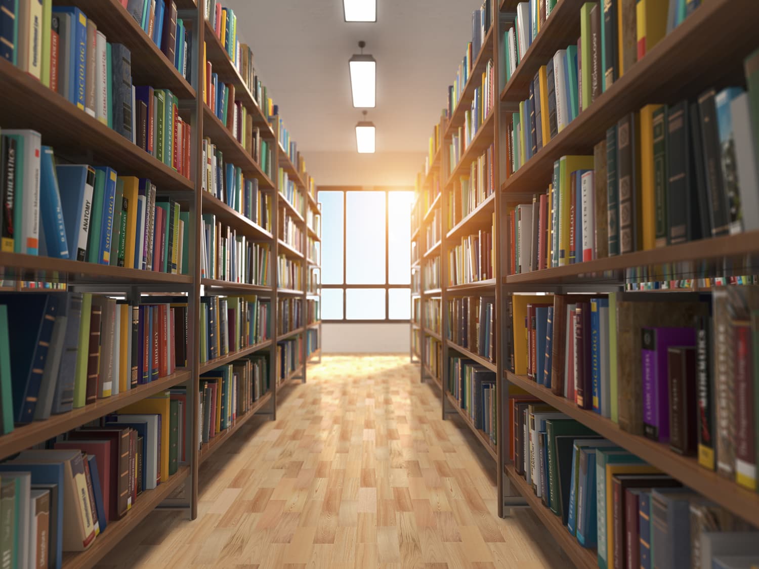 Stacks of books on library shelves